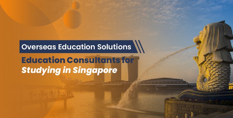 OESIndia: Education Consultants for Studying in Singapore