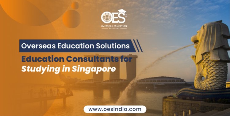 OESIndia: Education Consultants for Studying in Singapore