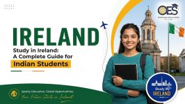 Study consultants in Ireland